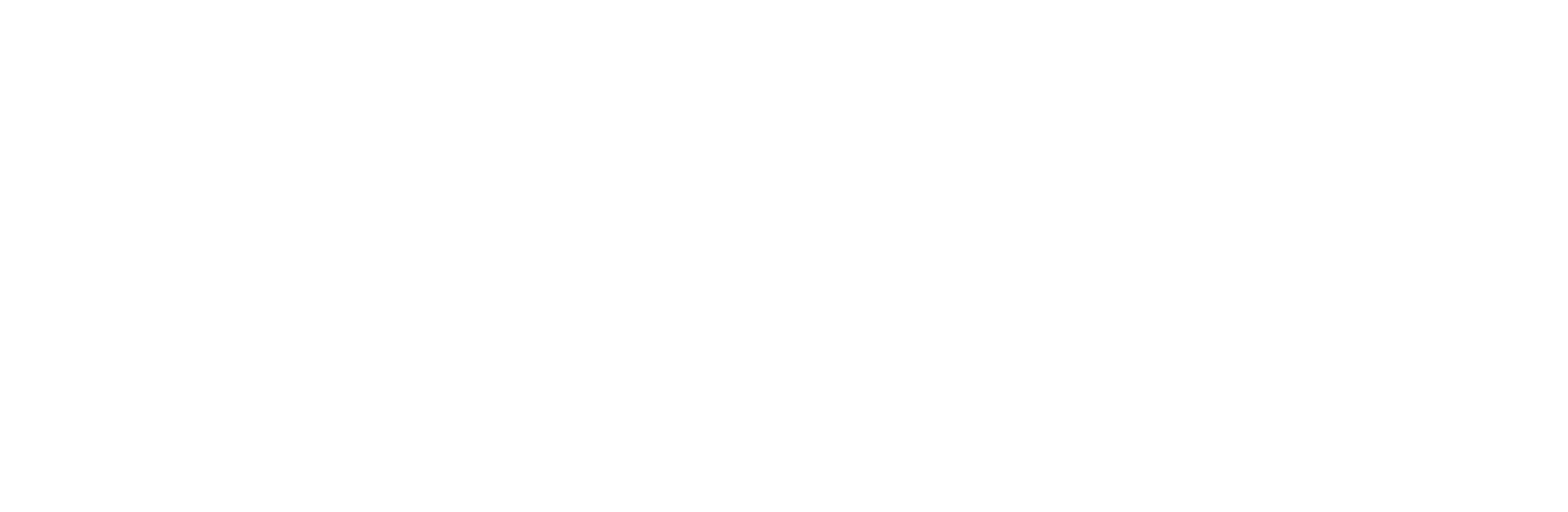 Logo Alize Group